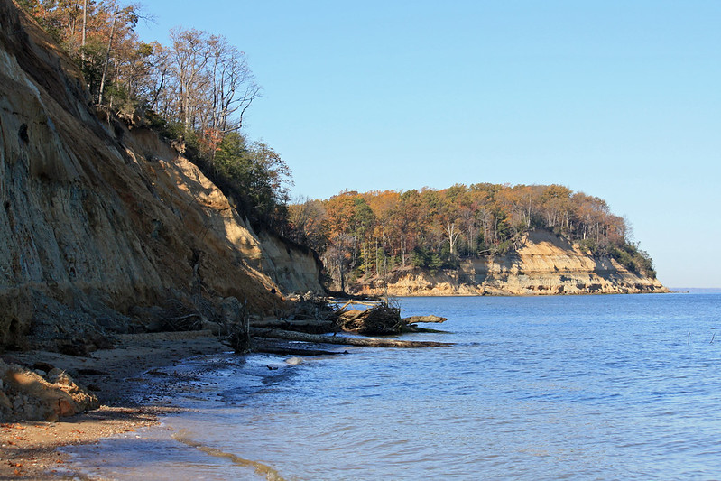 Calvert Cliffs State Park: A Journey Through Time and Tide